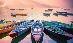 دریاچه فیوا