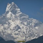 بیسکمپ-اورست