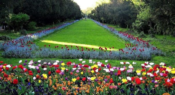 جاذبه های رومانی