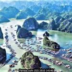 خلیج هالونگ