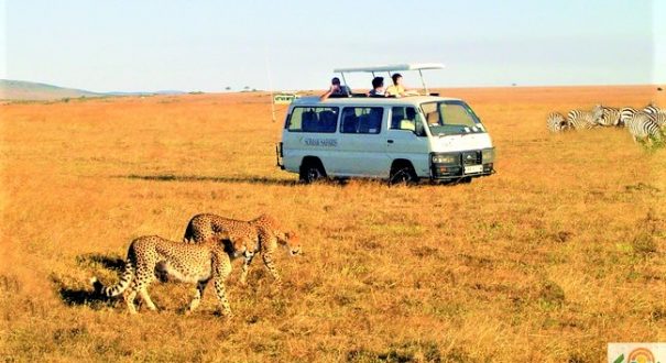 Massai-Marra-15 سافاری حیات وحش