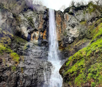 تور طبیعتگردی