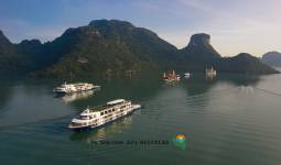 CRUISE HALONG 255150