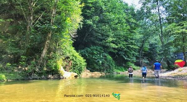 20180703_095950_image