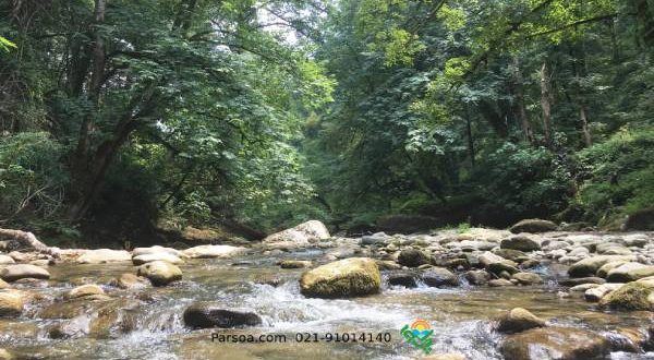 20180803_133806_IMG_2893